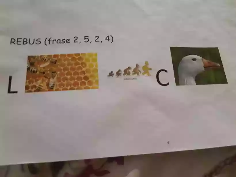 Ingrandisci questa immagine