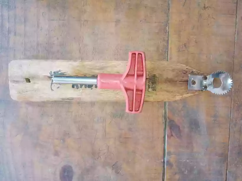 Ingrandisci questa immagine