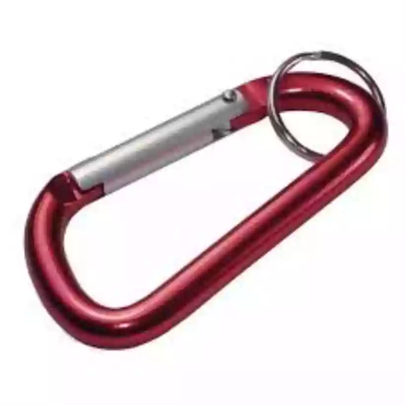 Ingrandisci questa immagine