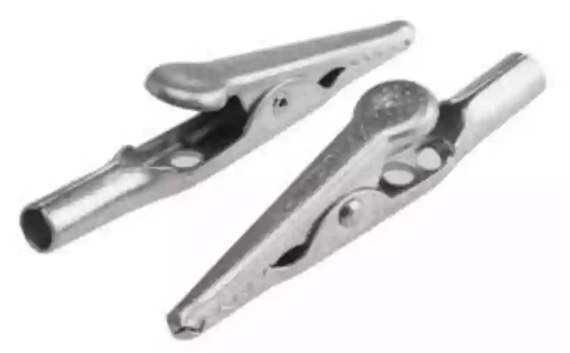 Ingrandisci questa immagine