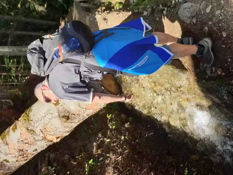 Ingrandisci questa immagine