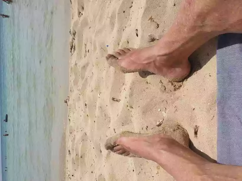 Ingrandisci questa immagine