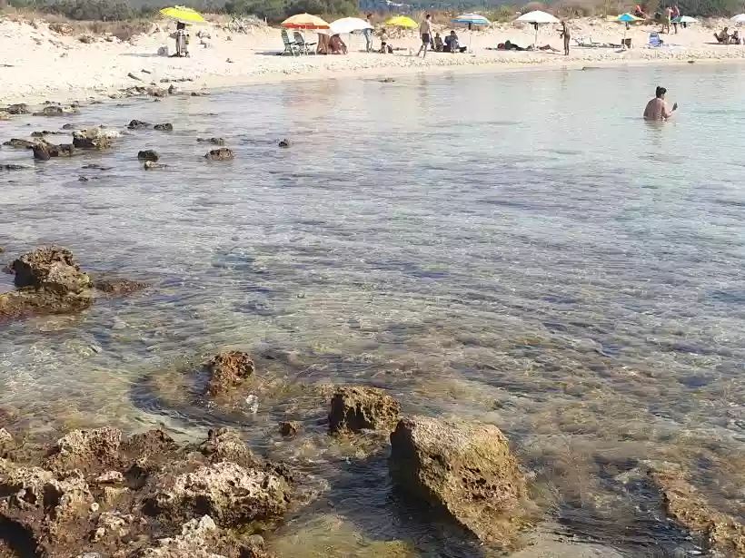 Ingrandisci questa immagine