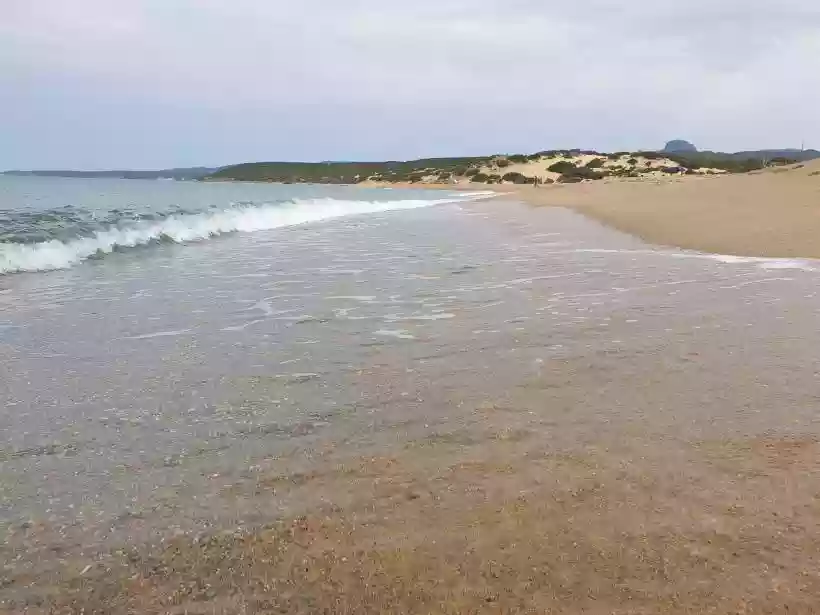 Ingrandisci questa immagine