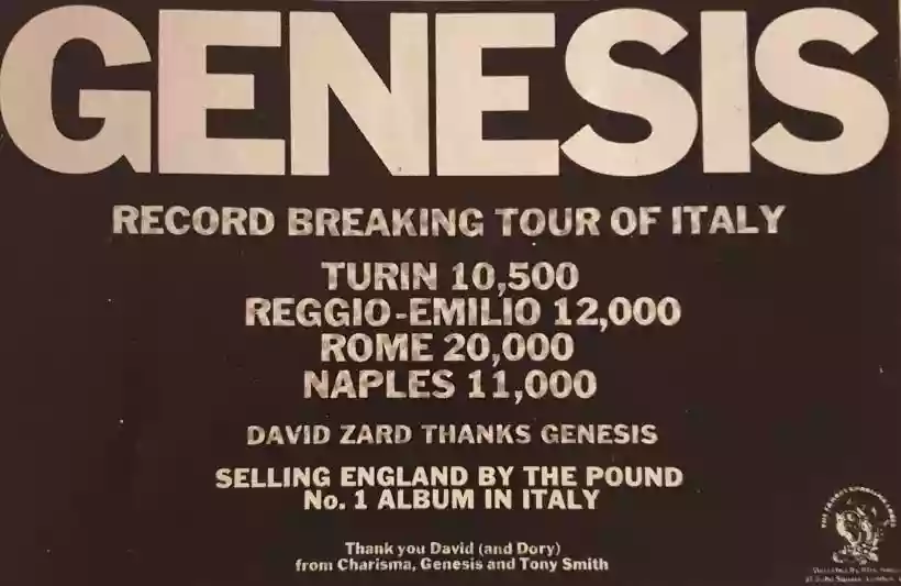 Ingrandisci questa immagine