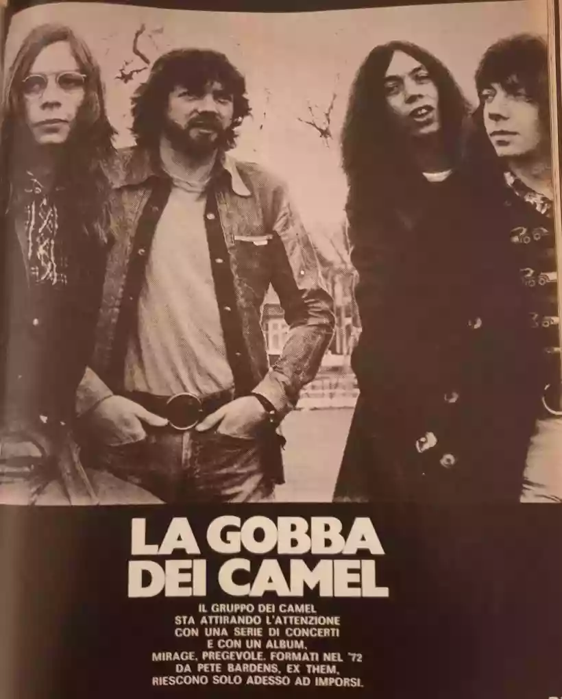 Ingrandisci questa immagine