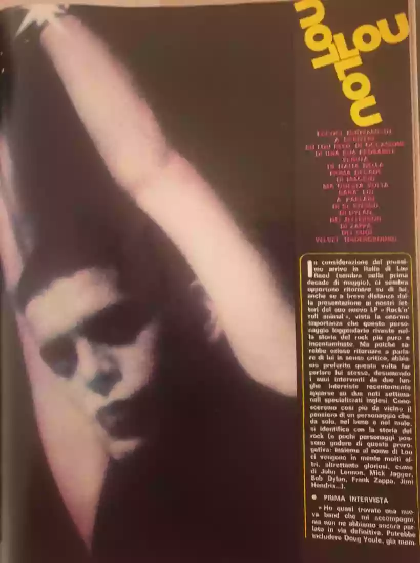 Ingrandisci questa immagine