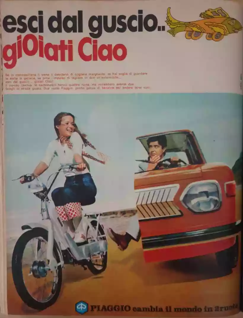 Ingrandisci questa immagine