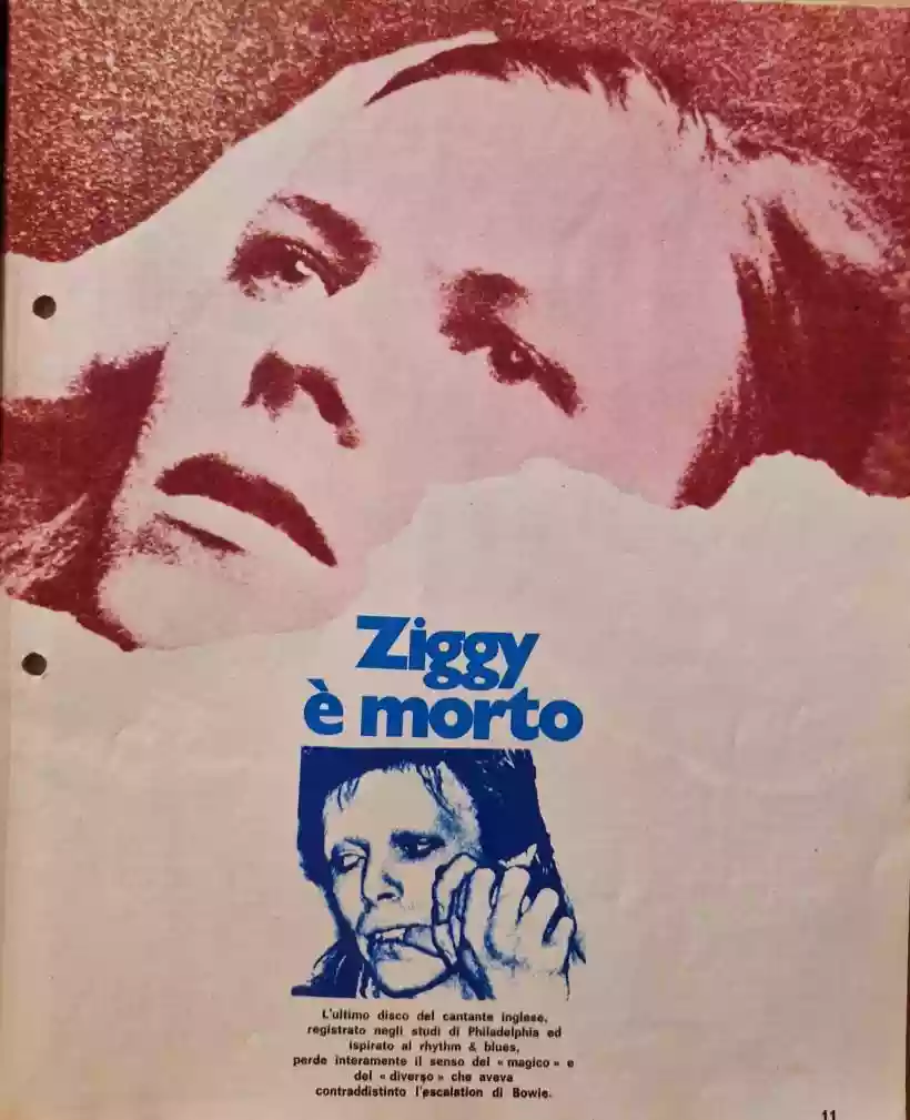 Ingrandisci questa immagine
