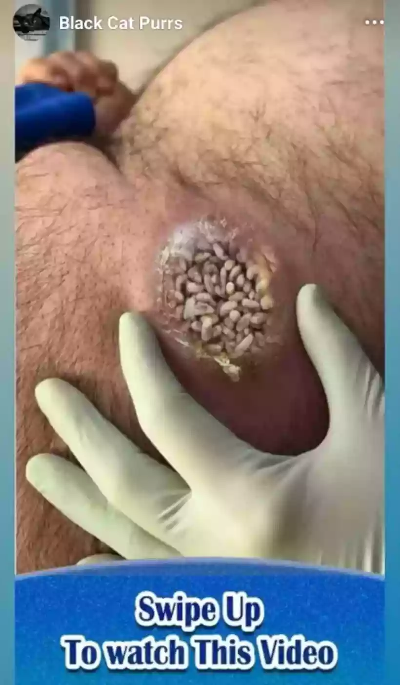 Ingrandisci questa immagine