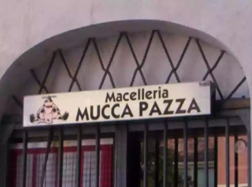 Ingrandisci questa immagine