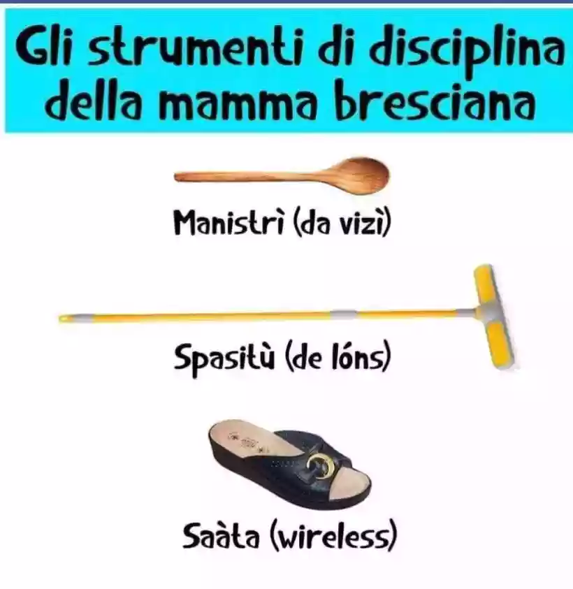 Ingrandisci questa immagine