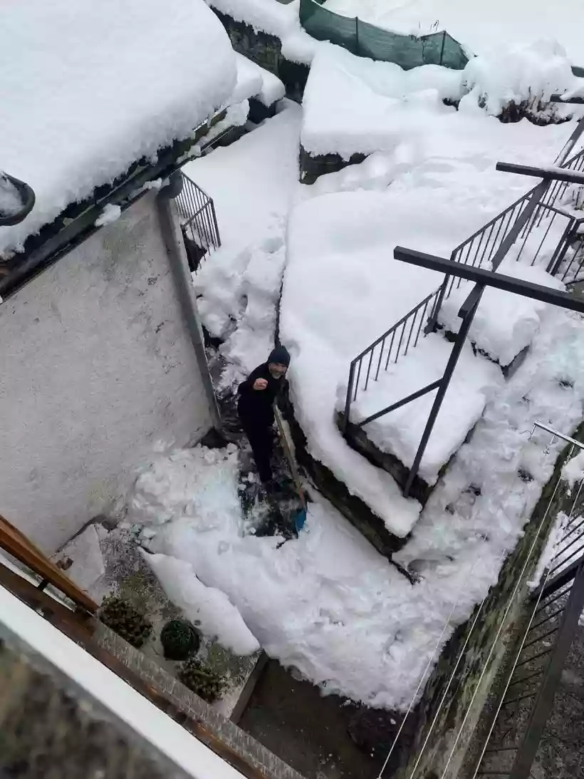 Ingrandisci questa immagine
