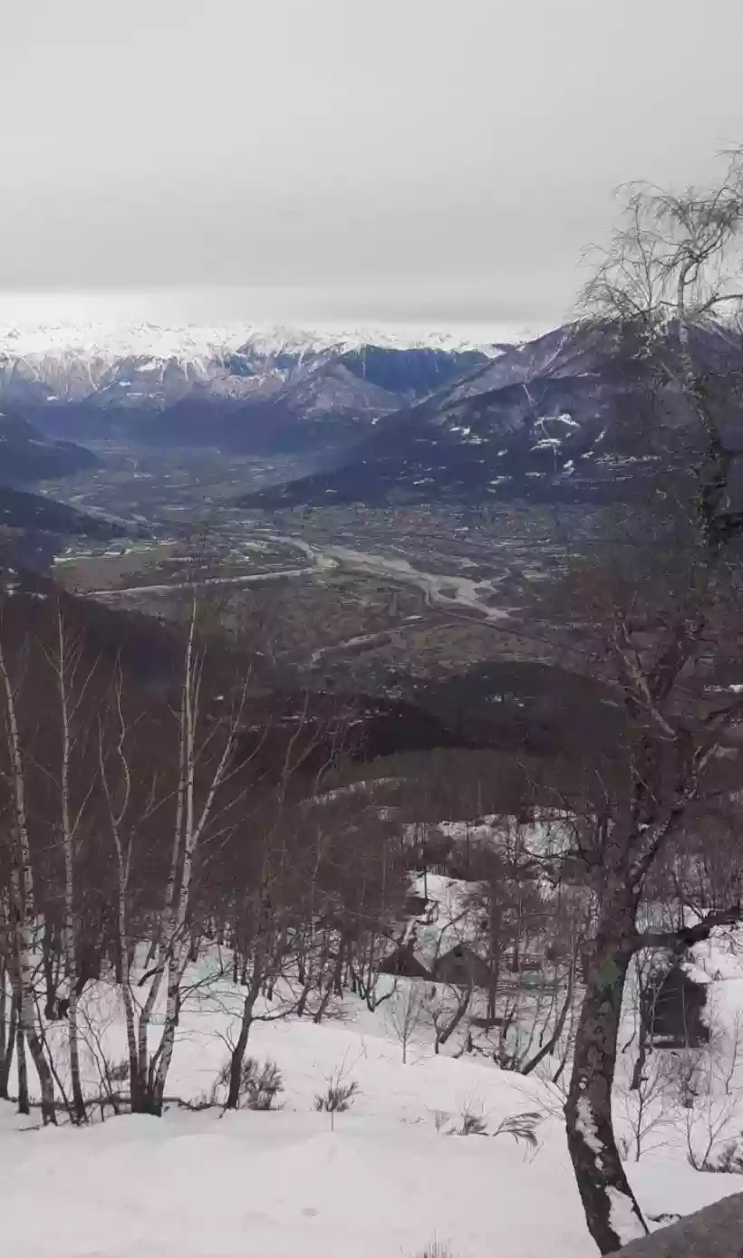 Ingrandisci questa immagine