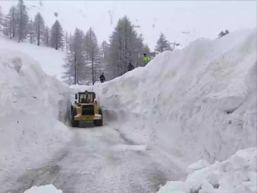 Ingrandisci questa immagine