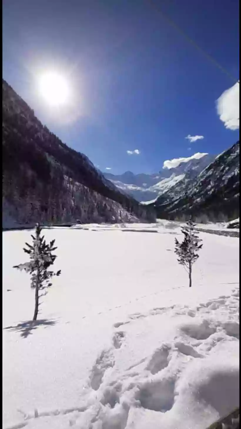 Ingrandisci questa immagine