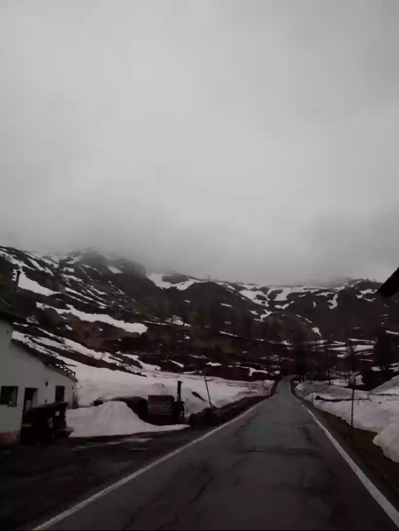 Ingrandisci questa immagine