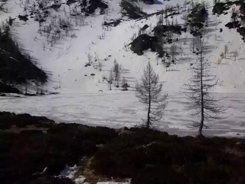 Ingrandisci questa immagine
