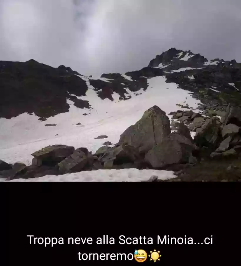 Ingrandisci questa immagine