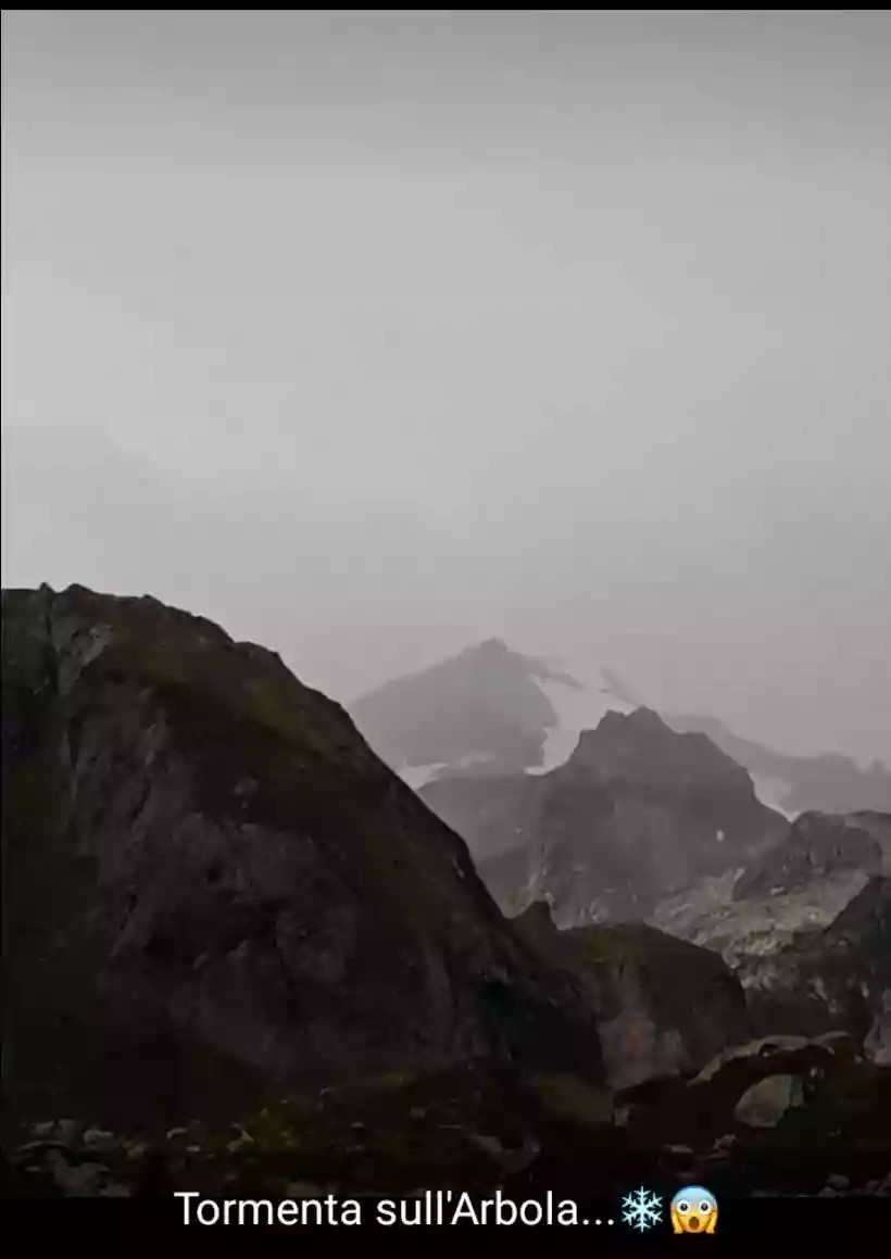 Ingrandisci questa immagine