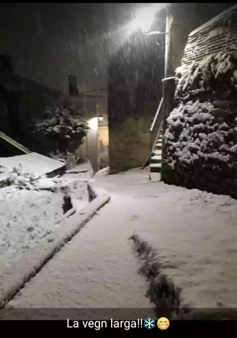 Ingrandisci questa immagine