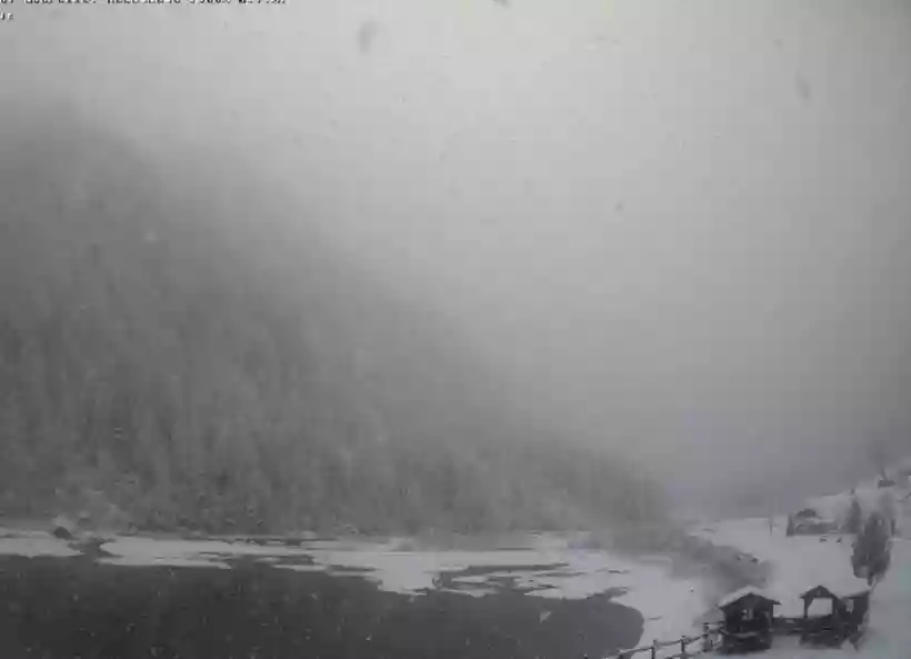 Ingrandisci questa immagine