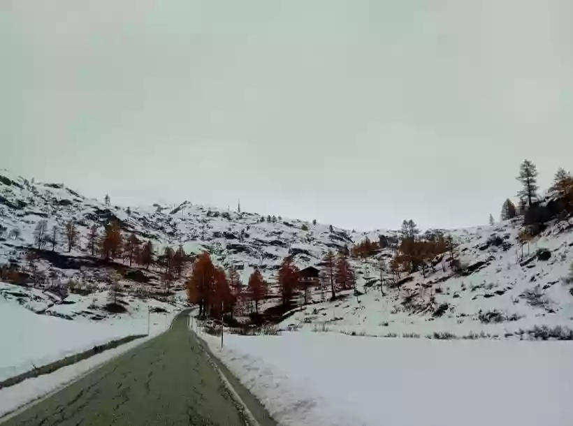 Ingrandisci questa immagine