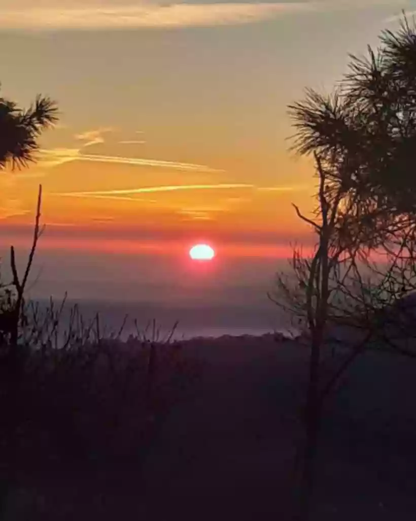 Ingrandisci questa immagine