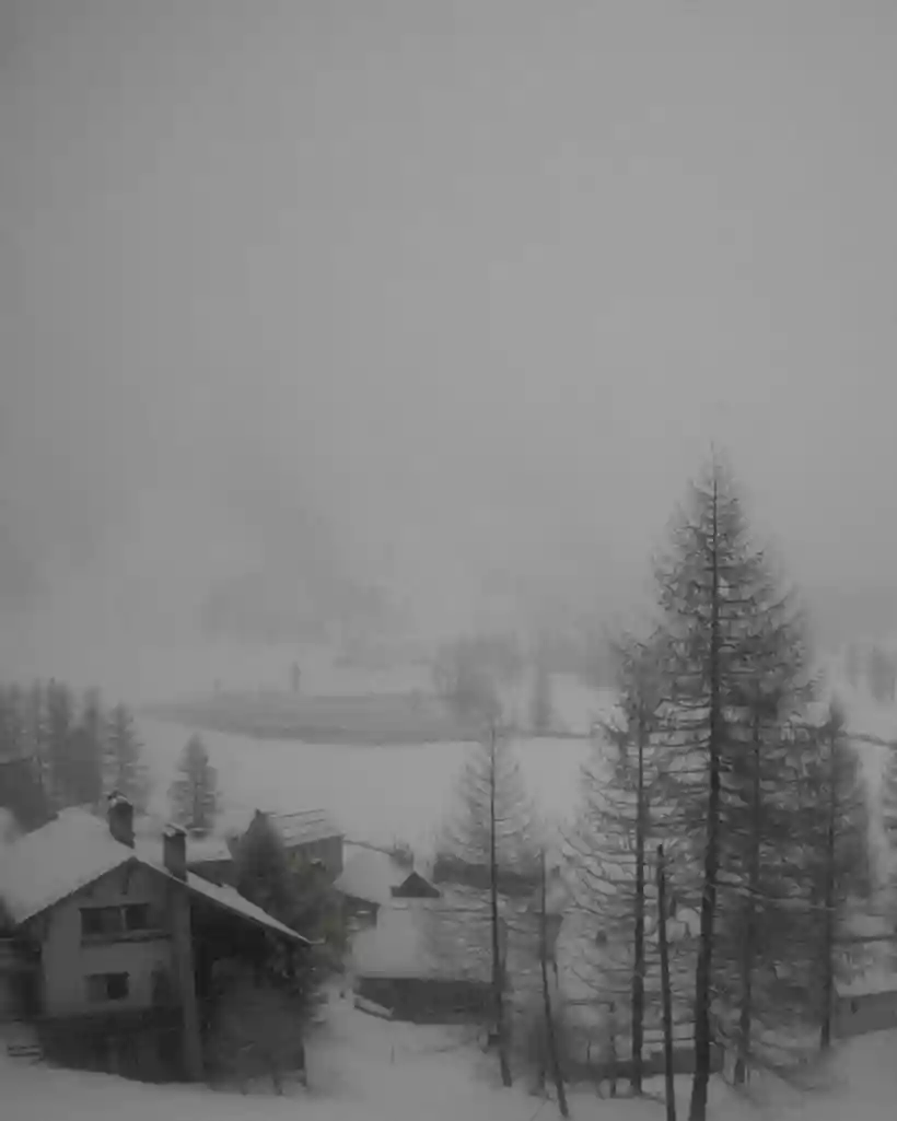 Ingrandisci questa immagine