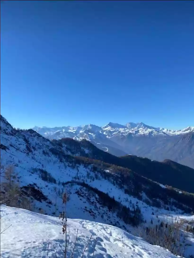 Ingrandisci questa immagine