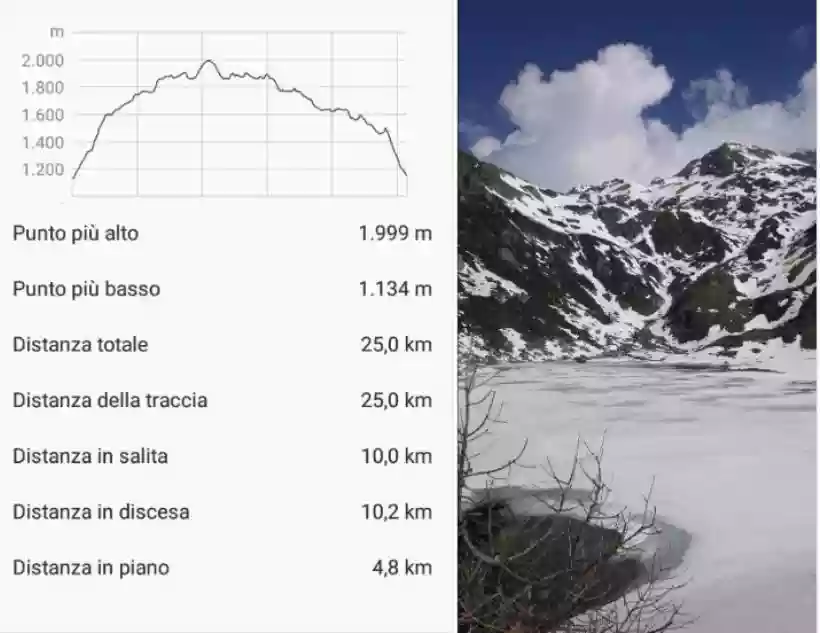 Ingrandisci questa immagine