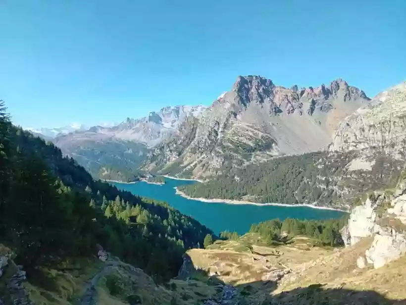 Ingrandisci questa immagine