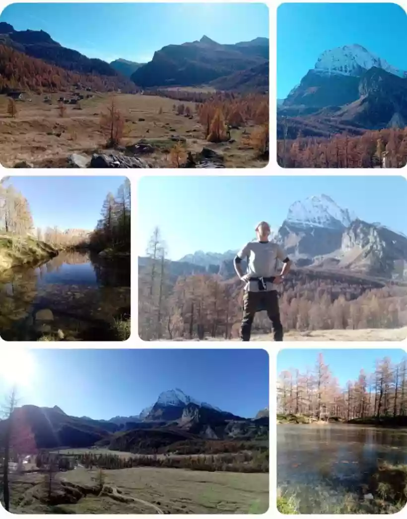 Ingrandisci questa immagine