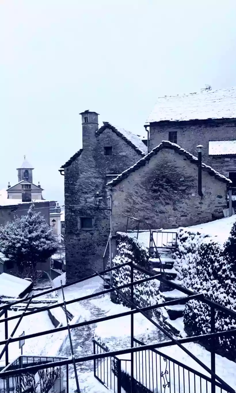 Ingrandisci questa immagine