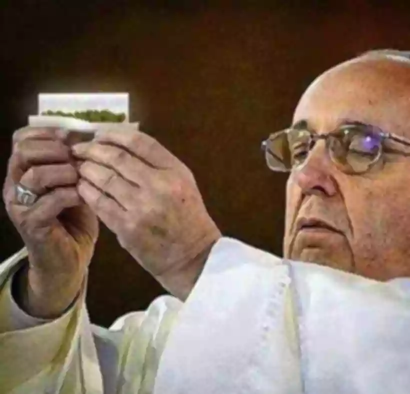 Ingrandisci questa immagine