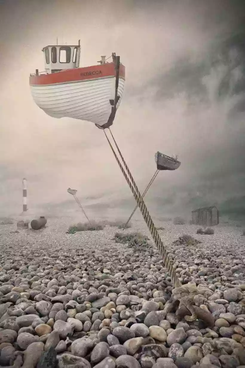Ingrandisci questa immagine