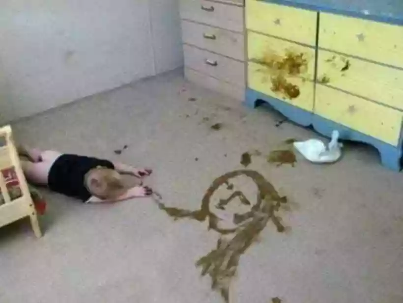Ingrandisci questa immagine