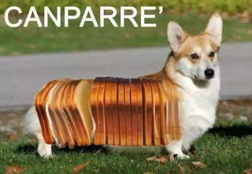 Ingrandisci questa immagine