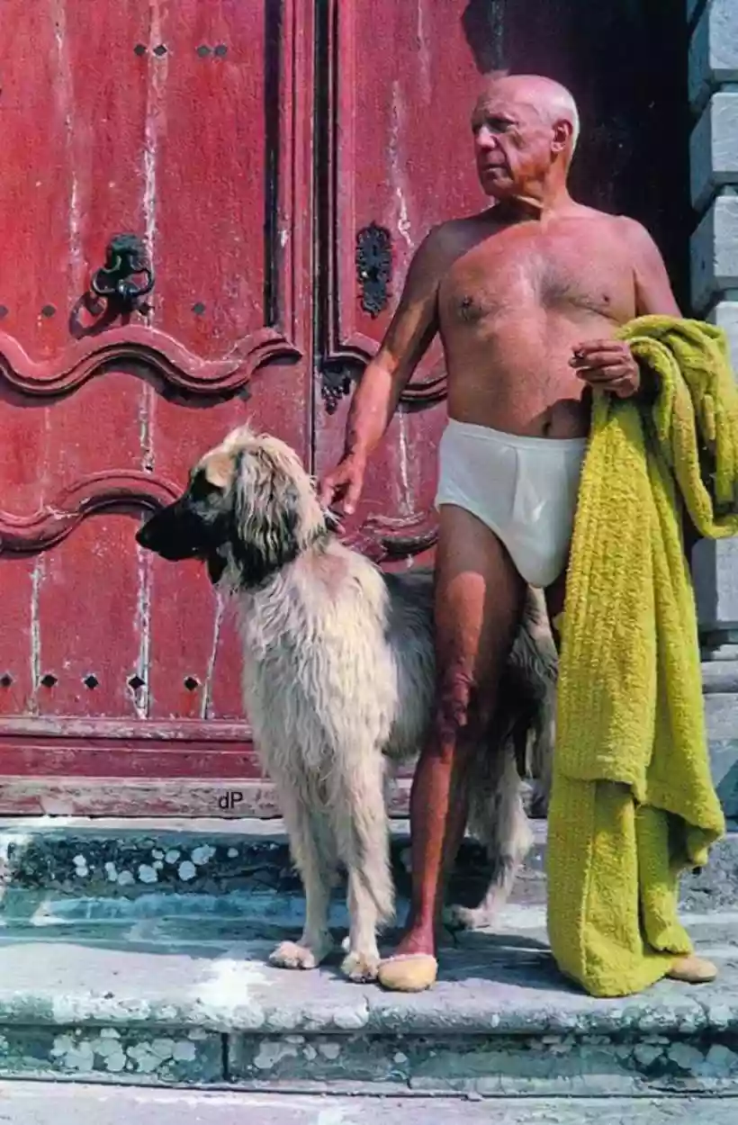 Ingrandisci questa immagine