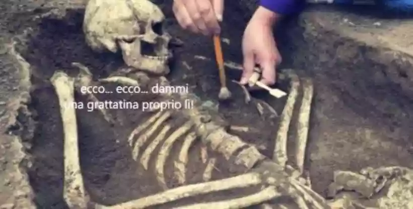Ingrandisci questa immagine