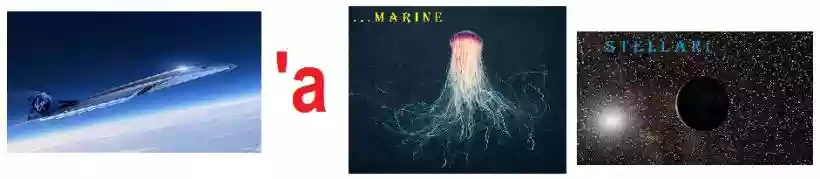 Ingrandisci questa immagine