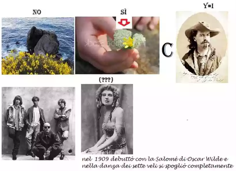 Ingrandisci questa immagine