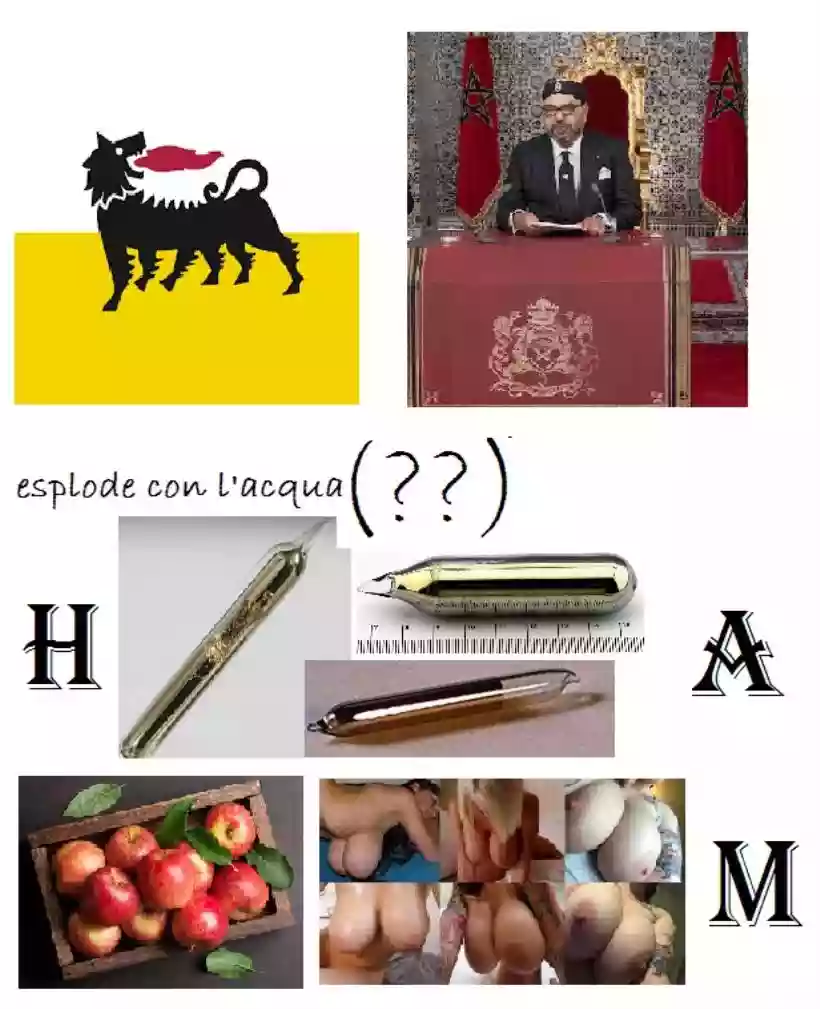 Ingrandisci questa immagine
