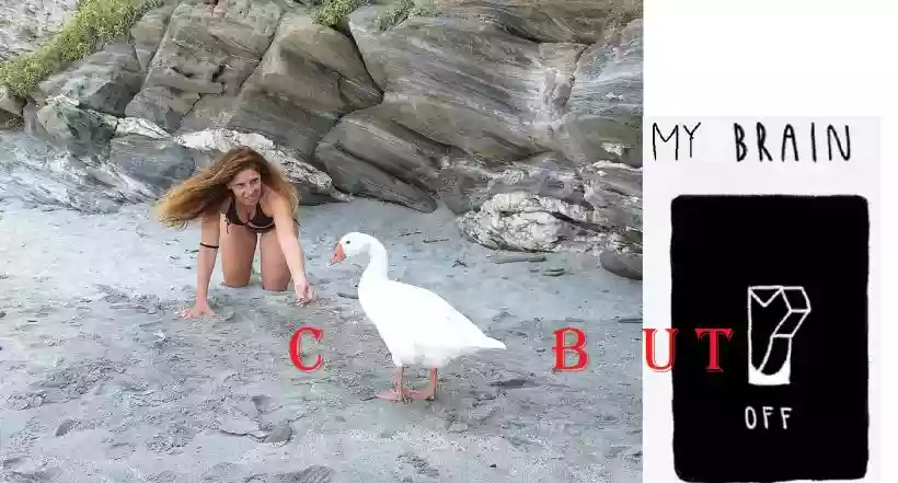 Ingrandisci questa immagine