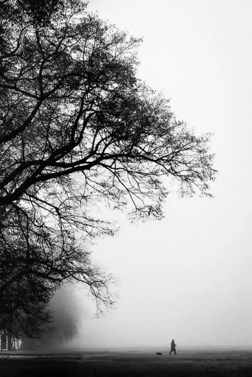 Ingrandisci questa immagine