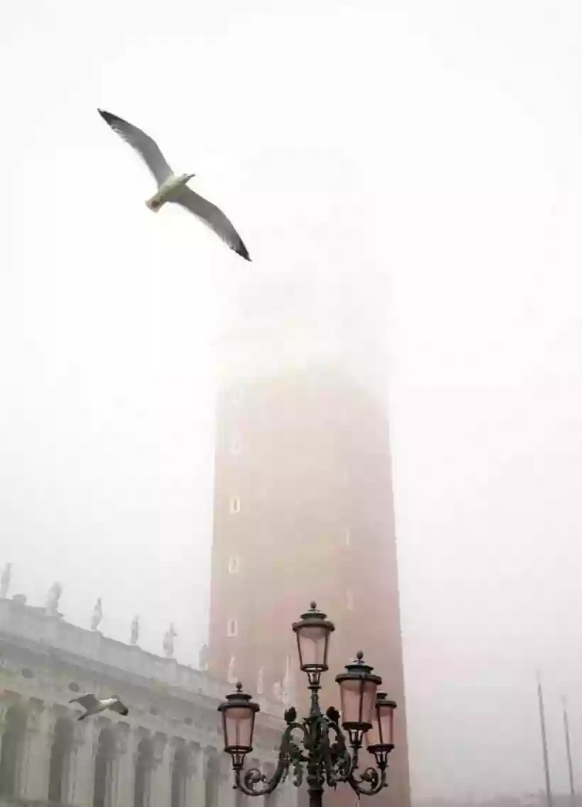 Ingrandisci questa immagine