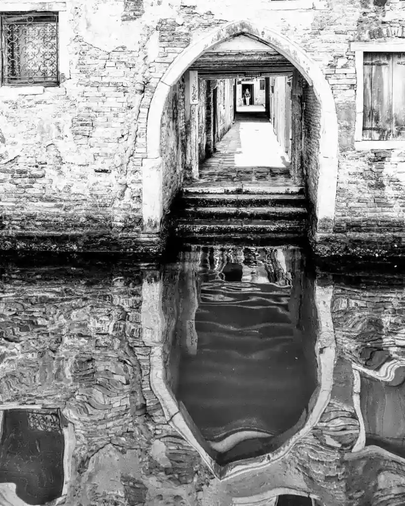 Ingrandisci questa immagine