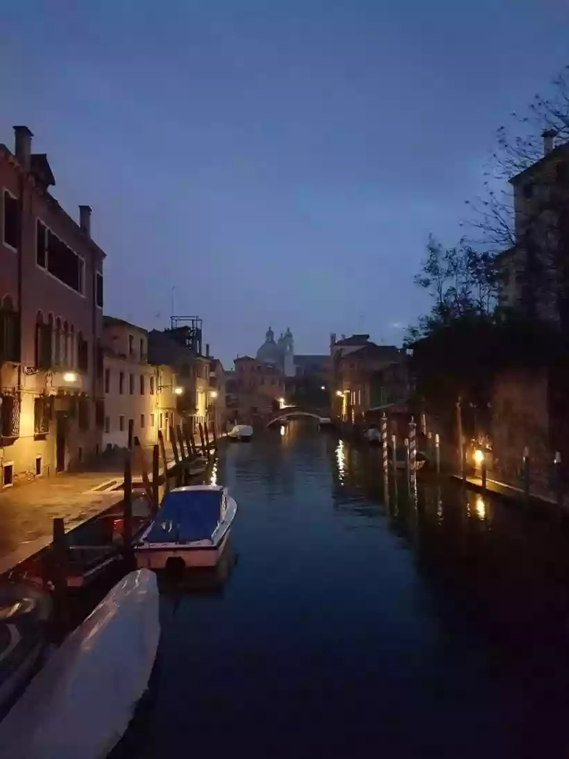 Ingrandisci questa immagine