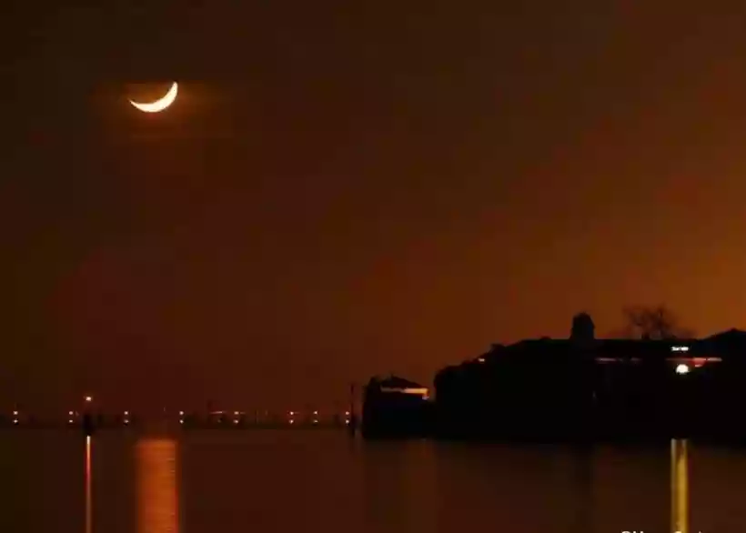 Ingrandisci questa immagine