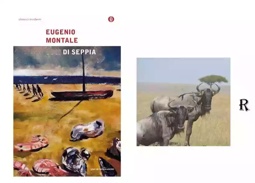 Ingrandisci questa immagine